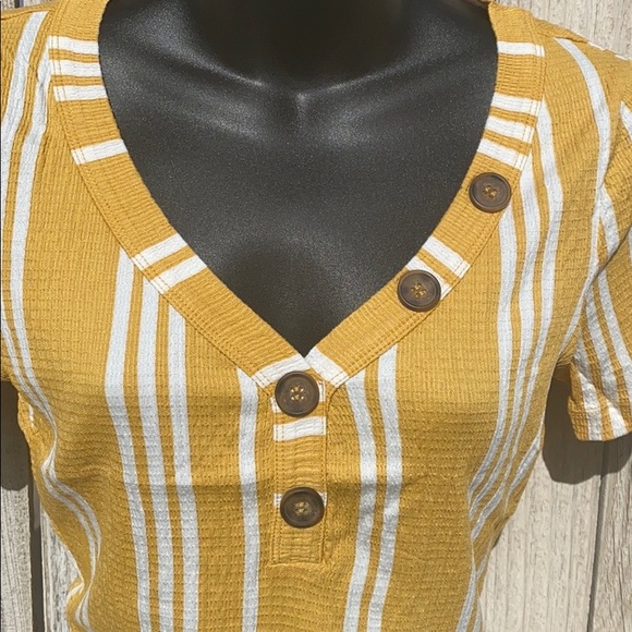 Cropped Top - Picture 2 of 6